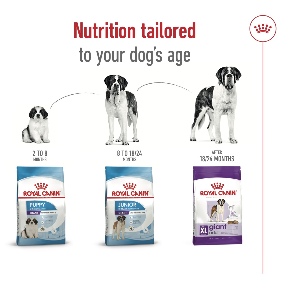 Royal Canin 15 kg Size Health Nutrition Giant Adult