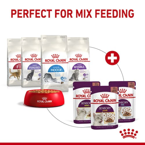 Royal Canin 12 x 85 gm Feline Health Nutrition Sensory Feel Gravy (Wet Food Pouches)