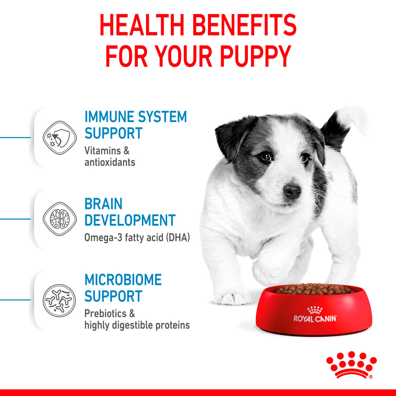 Royal Canin 8 kg Size Health Nutrition Mini Puppy