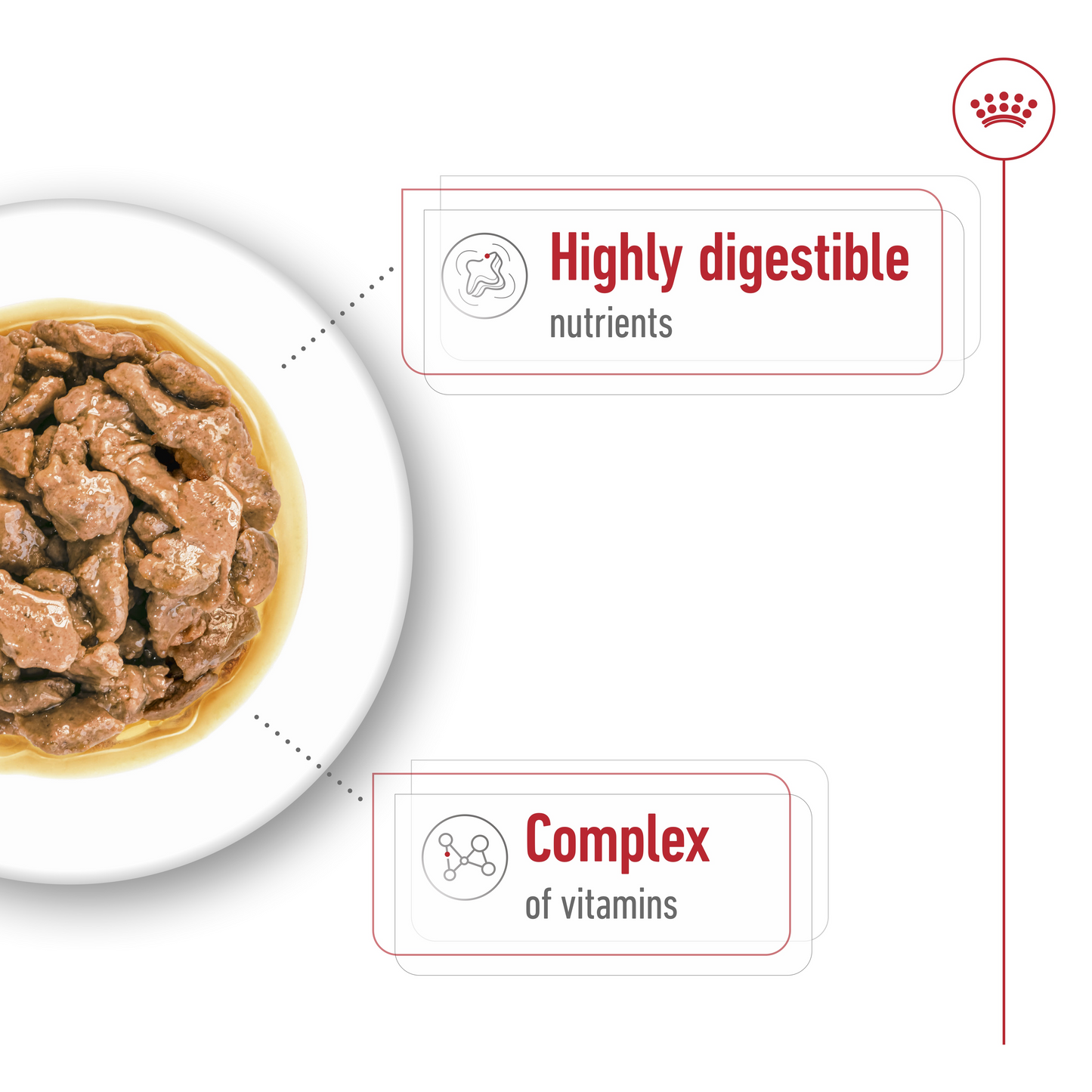 Royal Canin 12 x 85 gm Size Health Nutrition Mini Adult (Wet Food Pouches)