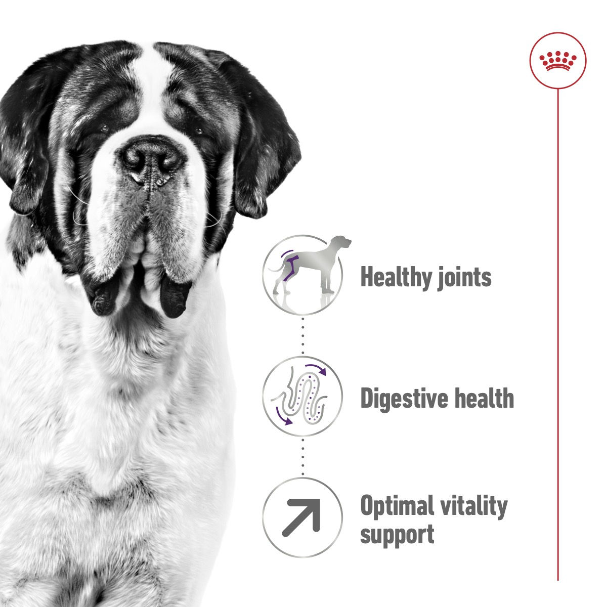 Royal Canin 15 kg Size Health Nutrition Giant Adult