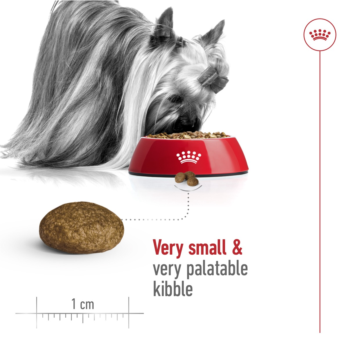 Royal Canin 1.5 kg Size Health Nutrition XS Adult