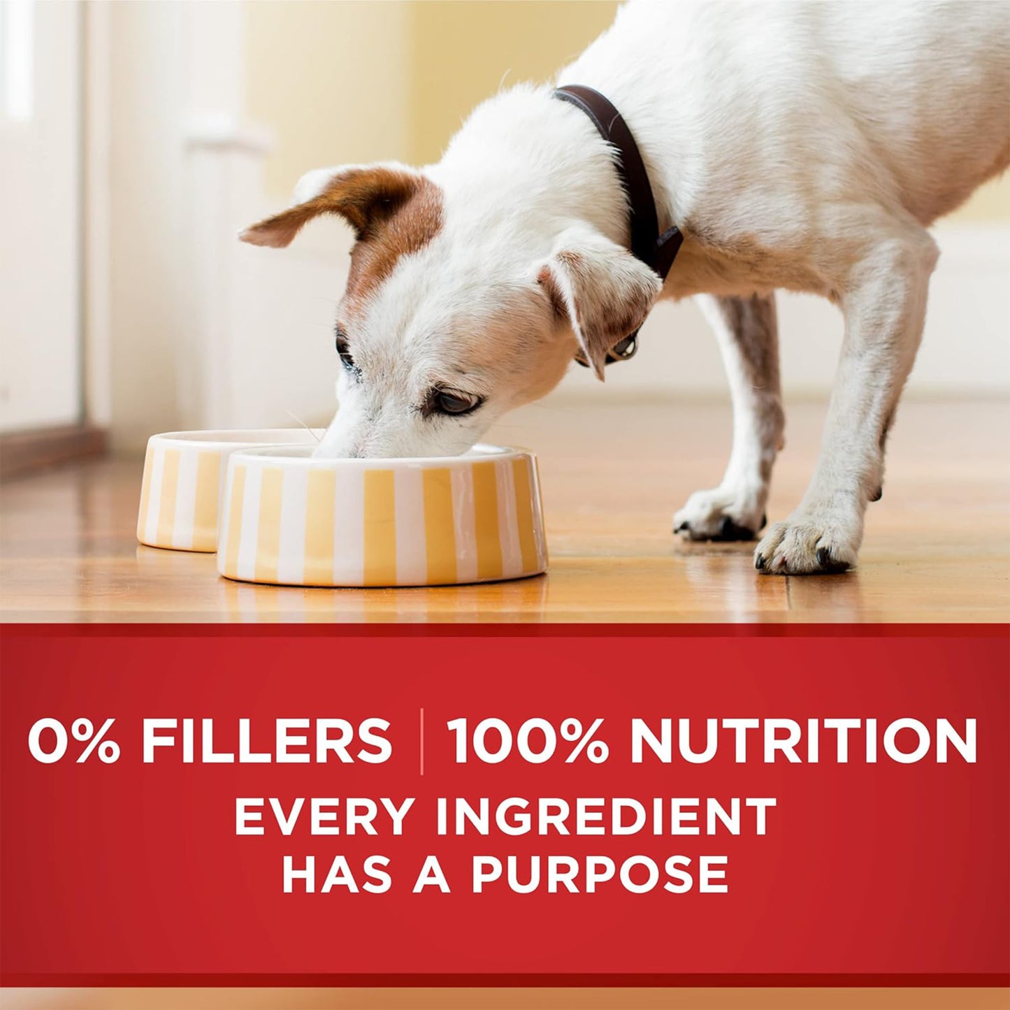 (368gm) (Pack of 12) Purina ONE Classic Wet Dog Food with Ground Chicken & Brown Rice Entrée