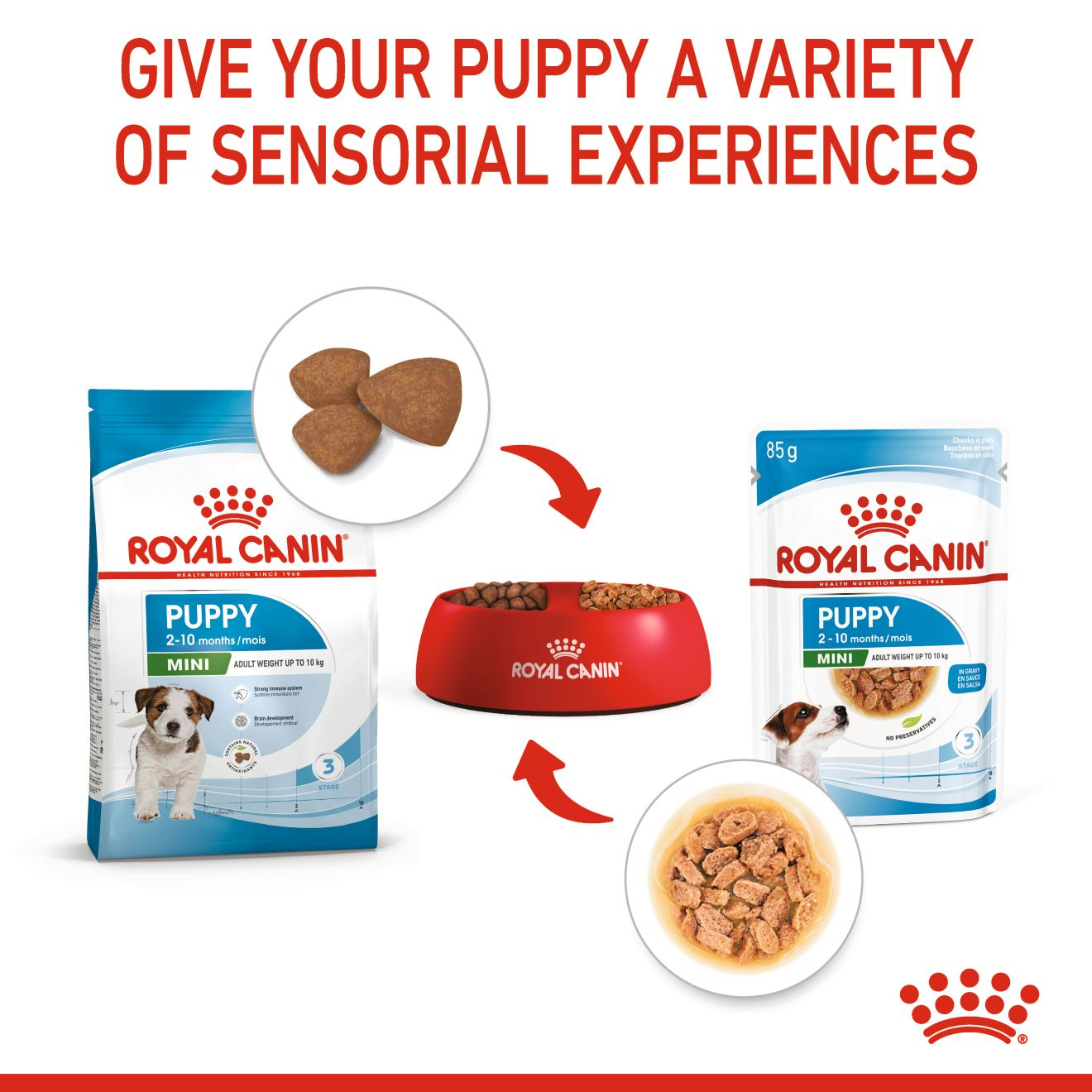 Royal Canin 12 x 85 gm Size Health Nutrition Mini Puppy (Wet Food Pouches)