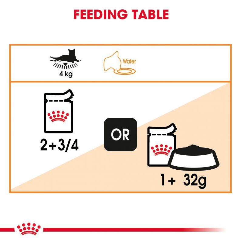 Royal Canin 400 gm Feline Care Nutrition Hair & Skin