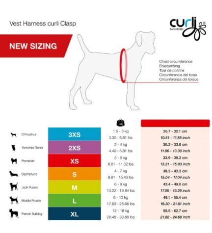 Curli Vest Harness with Curli Clasp Air Mesh for Dogs