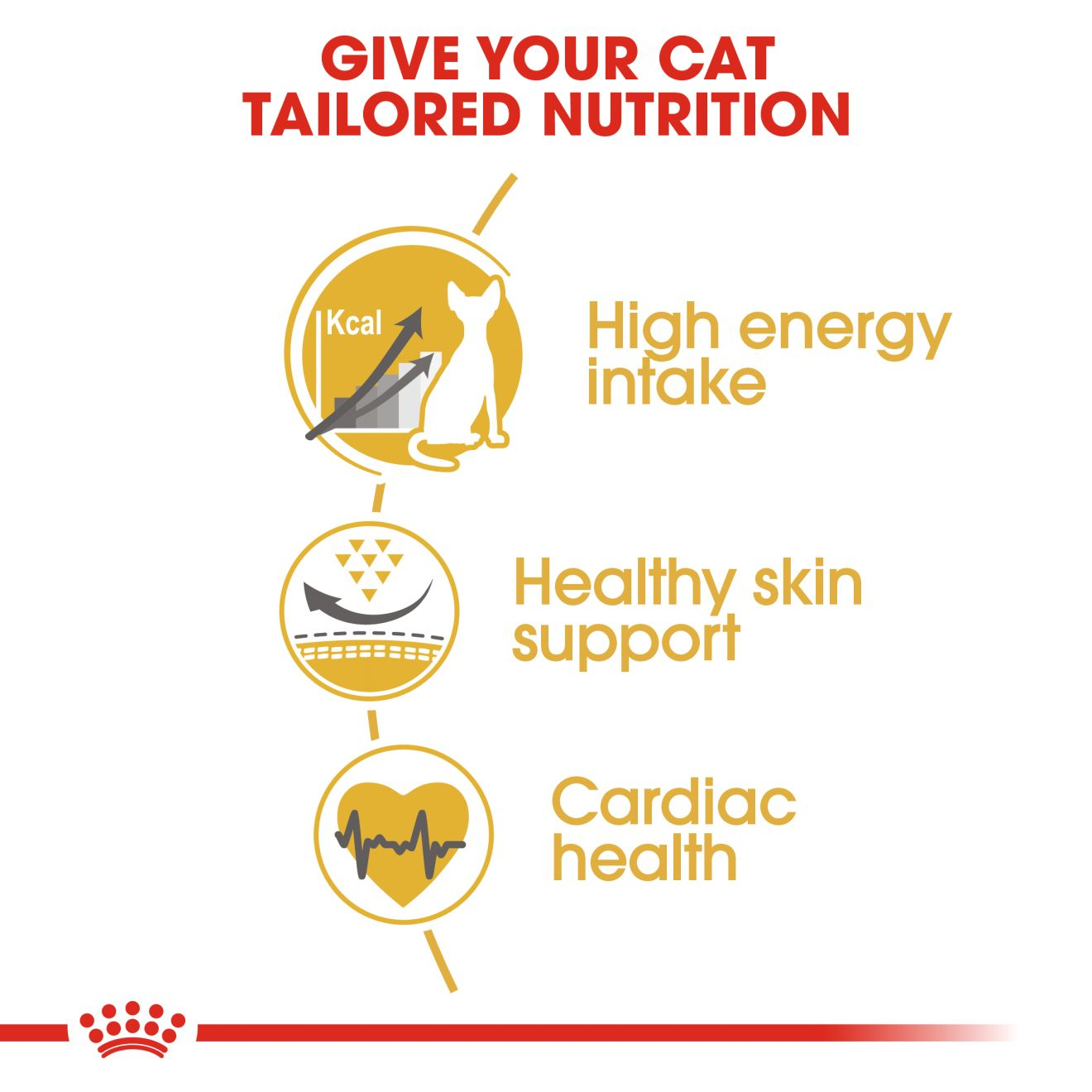 Royal Canin 2 kg Feline Breed Nutrition Sphynx