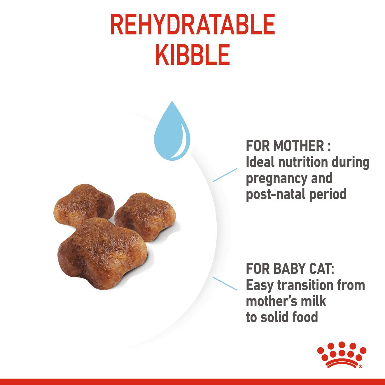 Royal Canin 10 kg Feline Health Nutrition Mother & Babycat