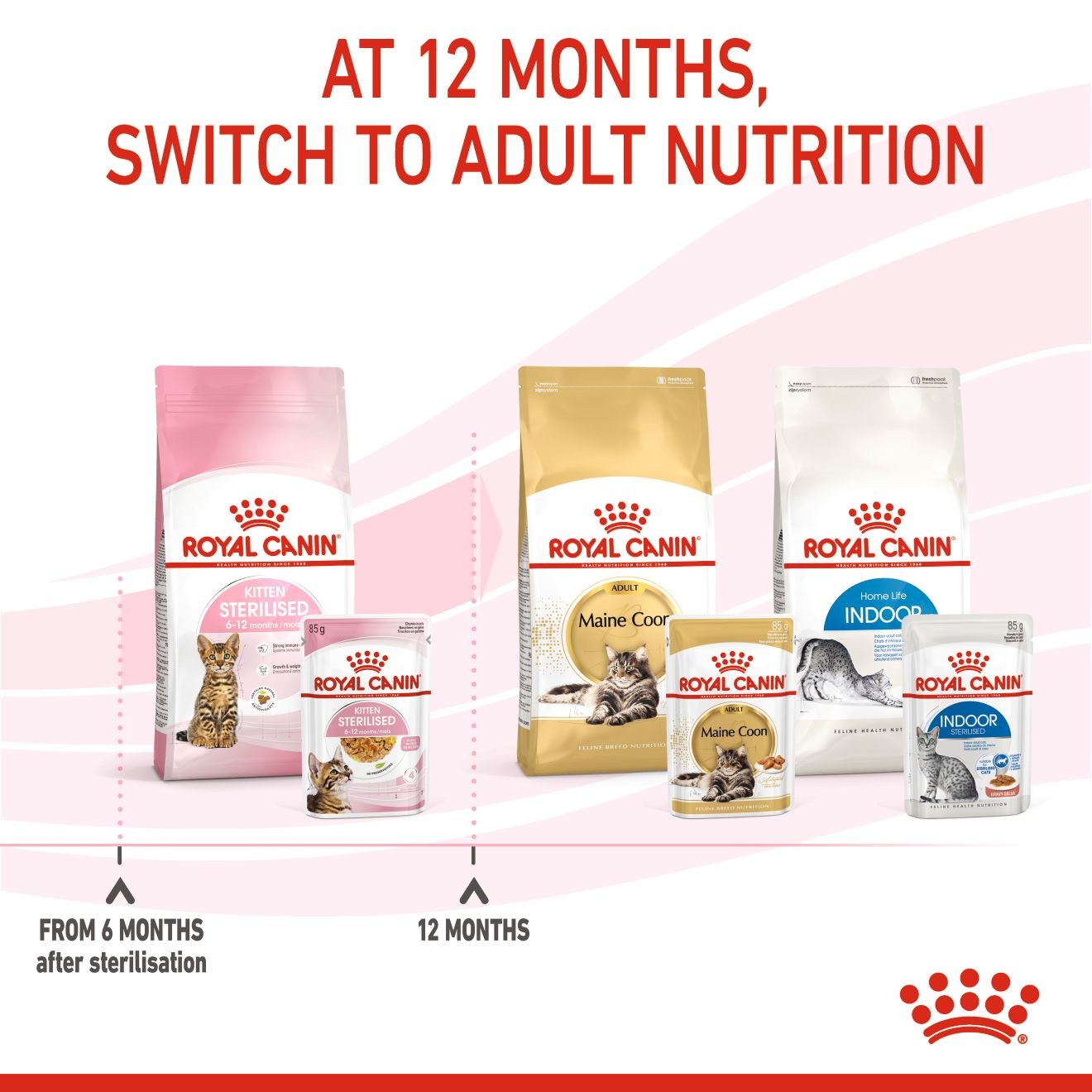 Royal Canin 12 x 85 gm Feline Health Nutrition Kitten Sterilised Gravy (Wet Food Pouches)