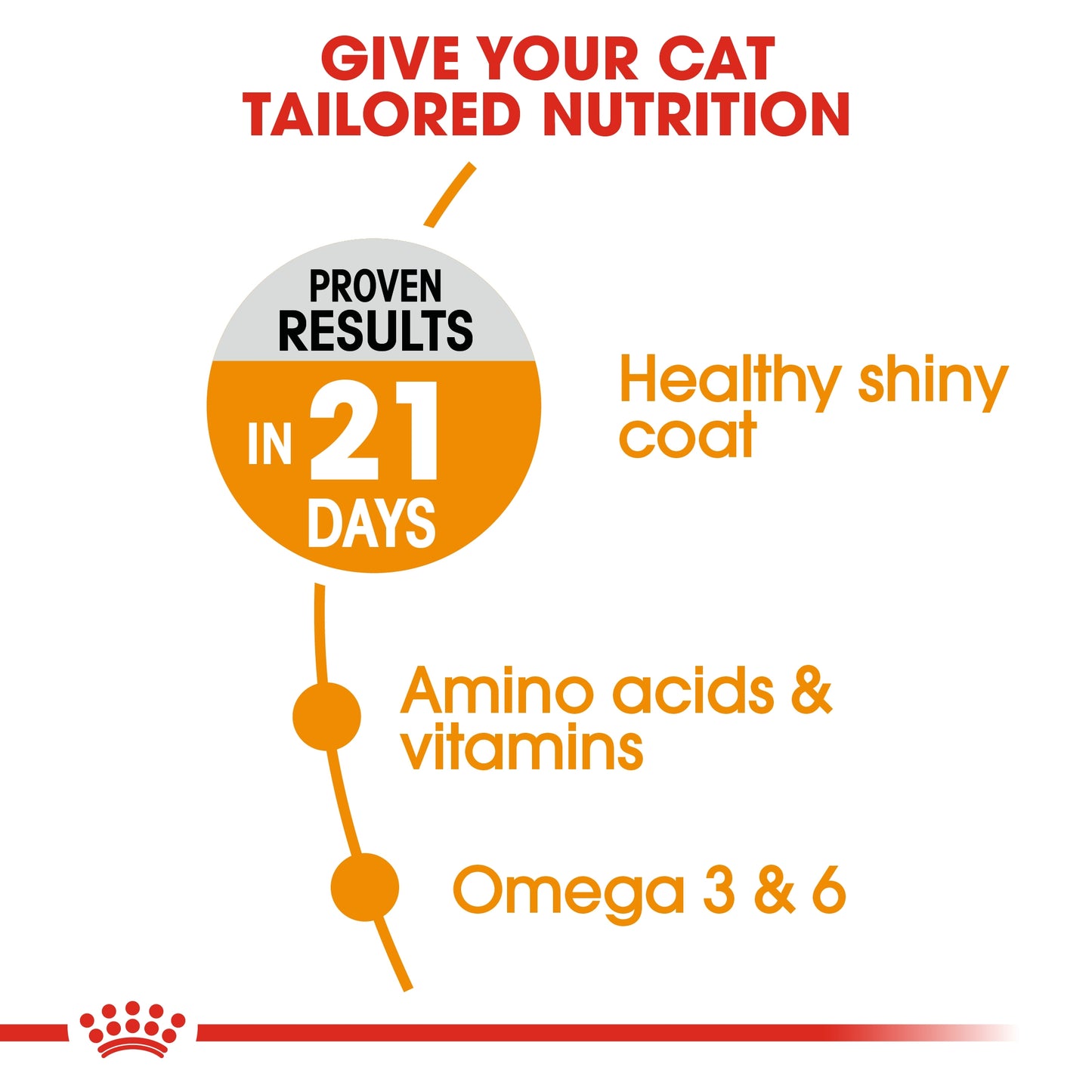 Royal Canin 400 gm Feline Care Nutrition Hair & Skin
