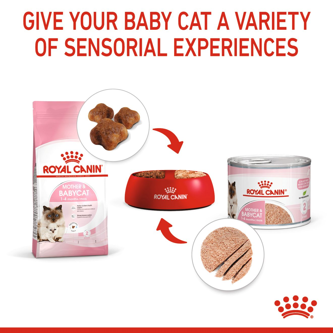 Royal Canin Feline Health Nutrition Mother & Babycat Mousse (Wet Food Cans) 12 x 195 g