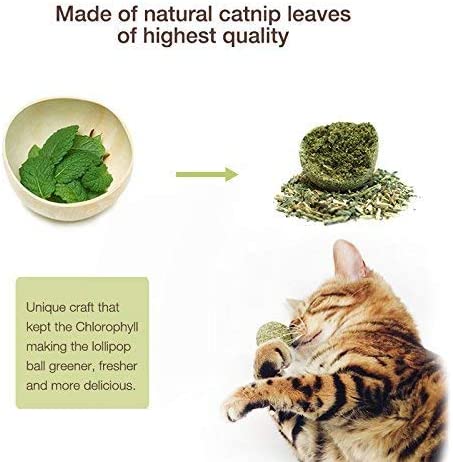 Organic Catnip Sticks - Set of 5 pcs All-Natural High-Performance Chew Toys for Cats