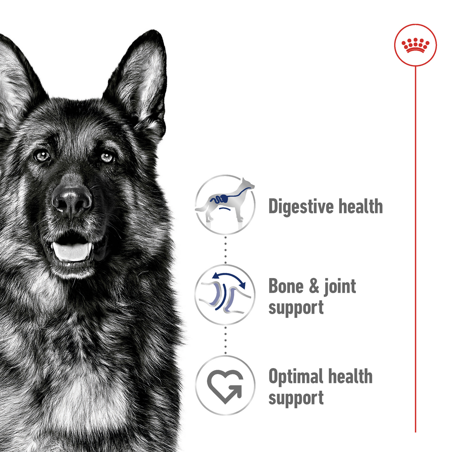 Royal Canin 10 kg Size Health Nutrition Maxi Adult