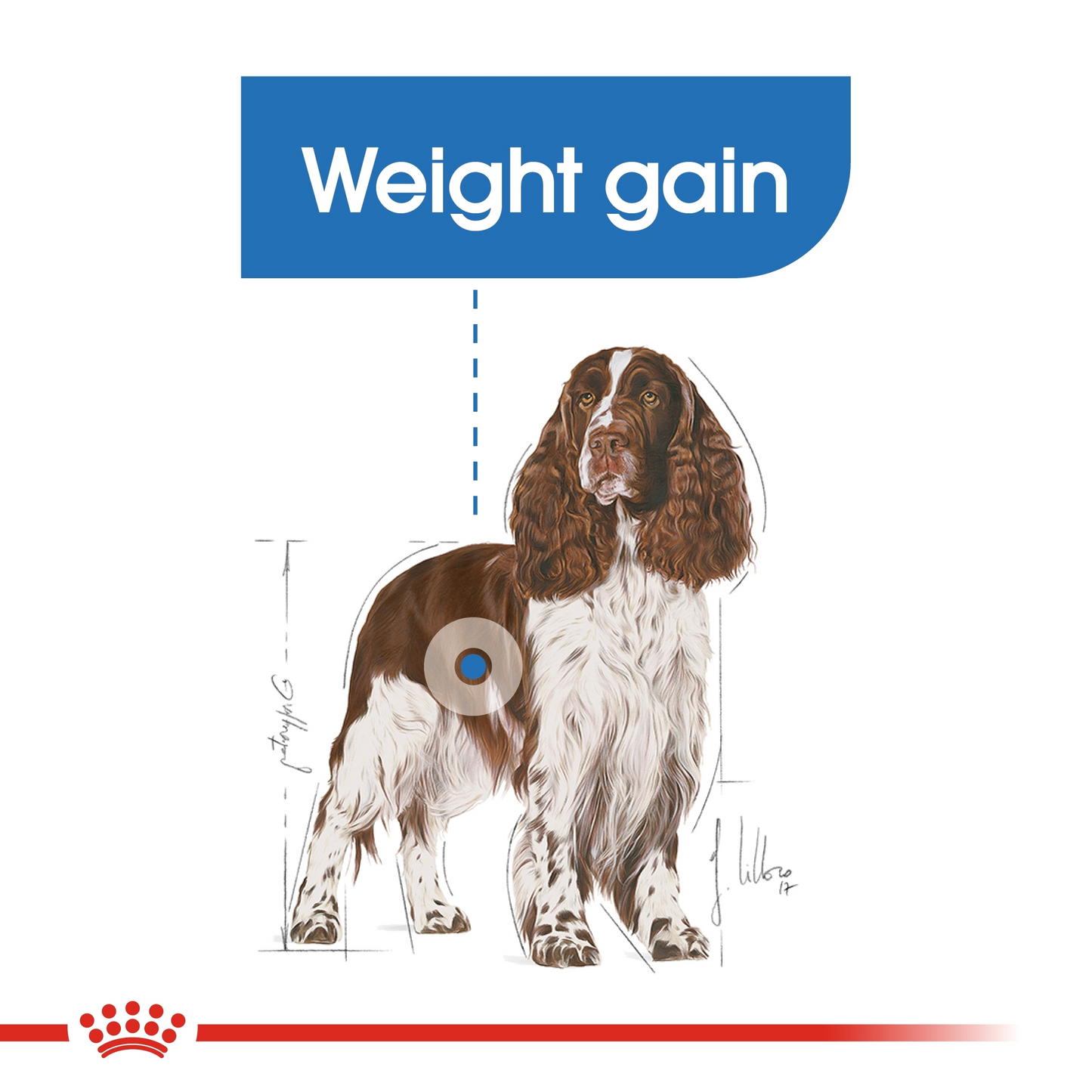 Royal Canin 12 kg Canine Care Nutrition Medium Light Weight Care