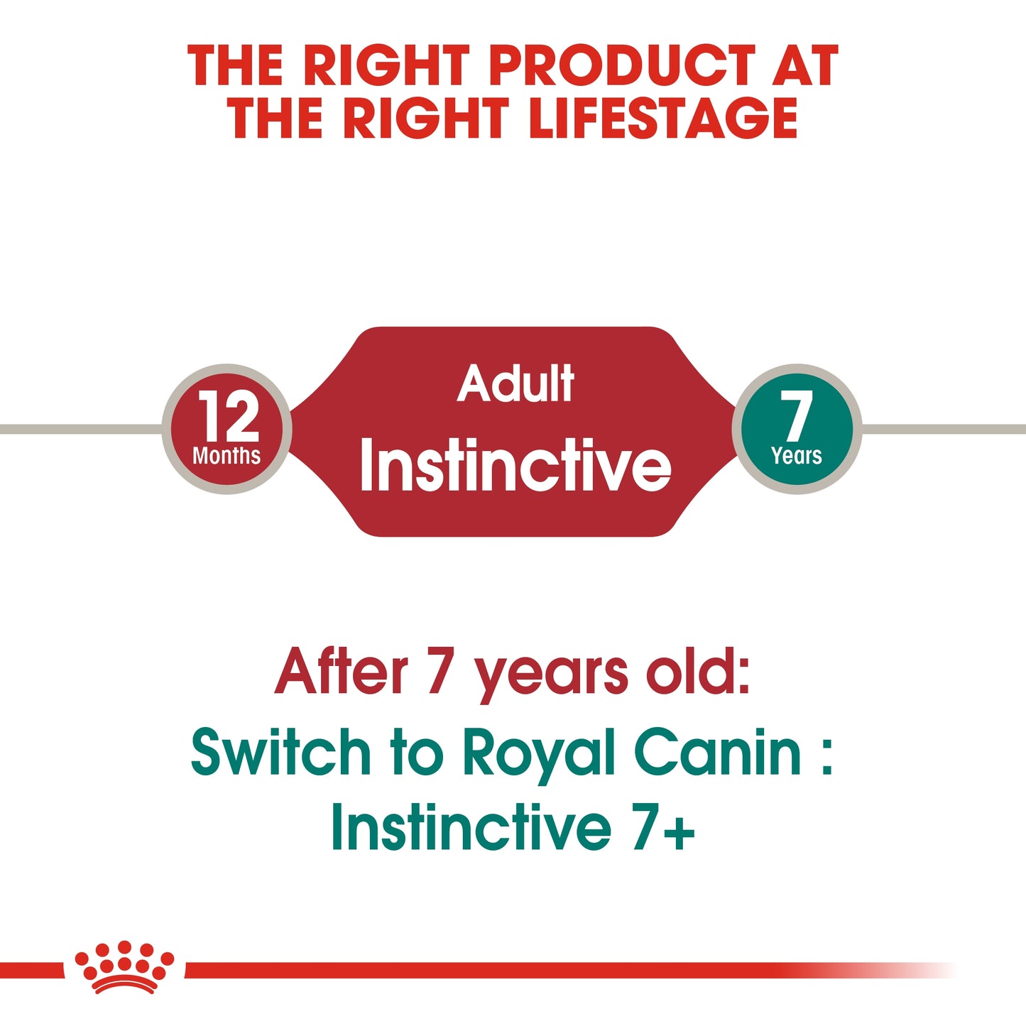 Royal Canin Feline Health Nutrition Instinctive Adult Cats Jelly (Wet Food - Pouches) Pack of 12 x 85 g