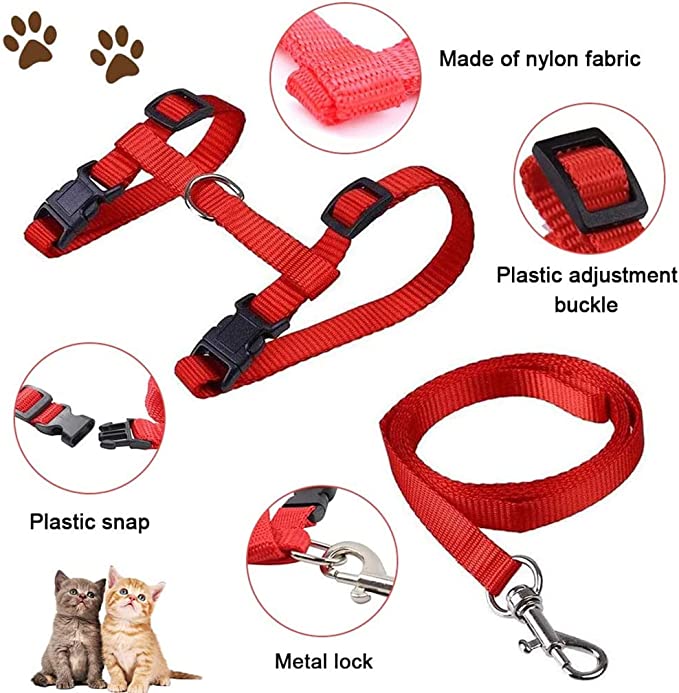 Cat Harness and Leash