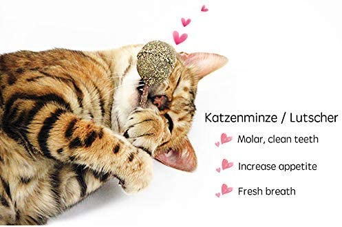 Organic Catnip Sticks - Set of 5 pcs All-Natural High-Performance Chew Toys for Cats