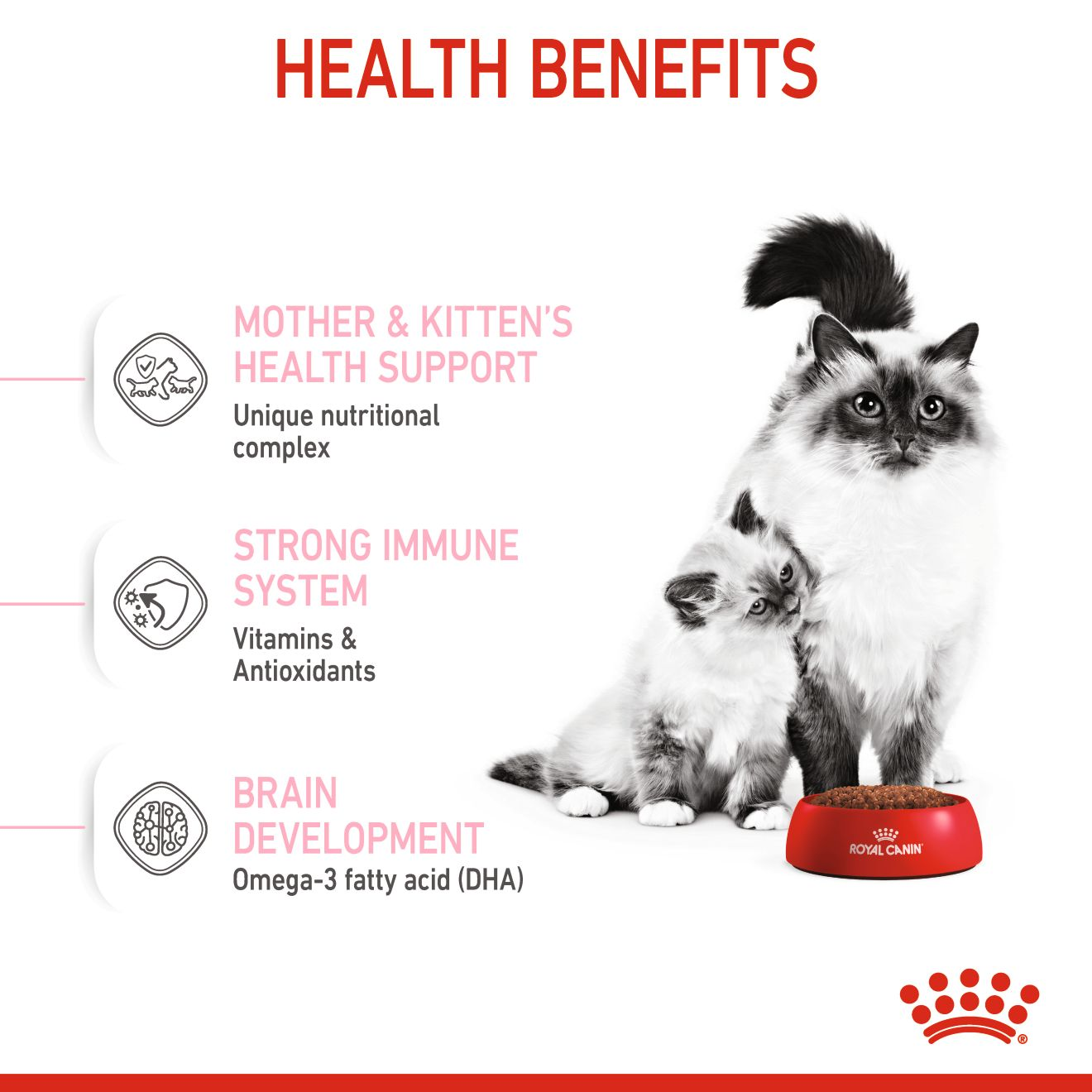 Royal Canin 2 kg Feline Health Nutrition Mother and Babycat