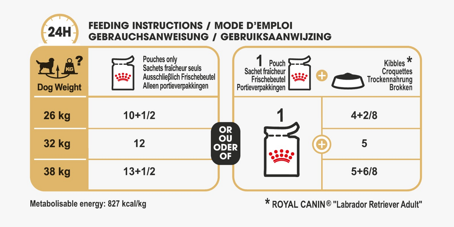 Royal Canin 10 x 140 gm Breed Health Nutrition Labrador (Wet Food Pouches)