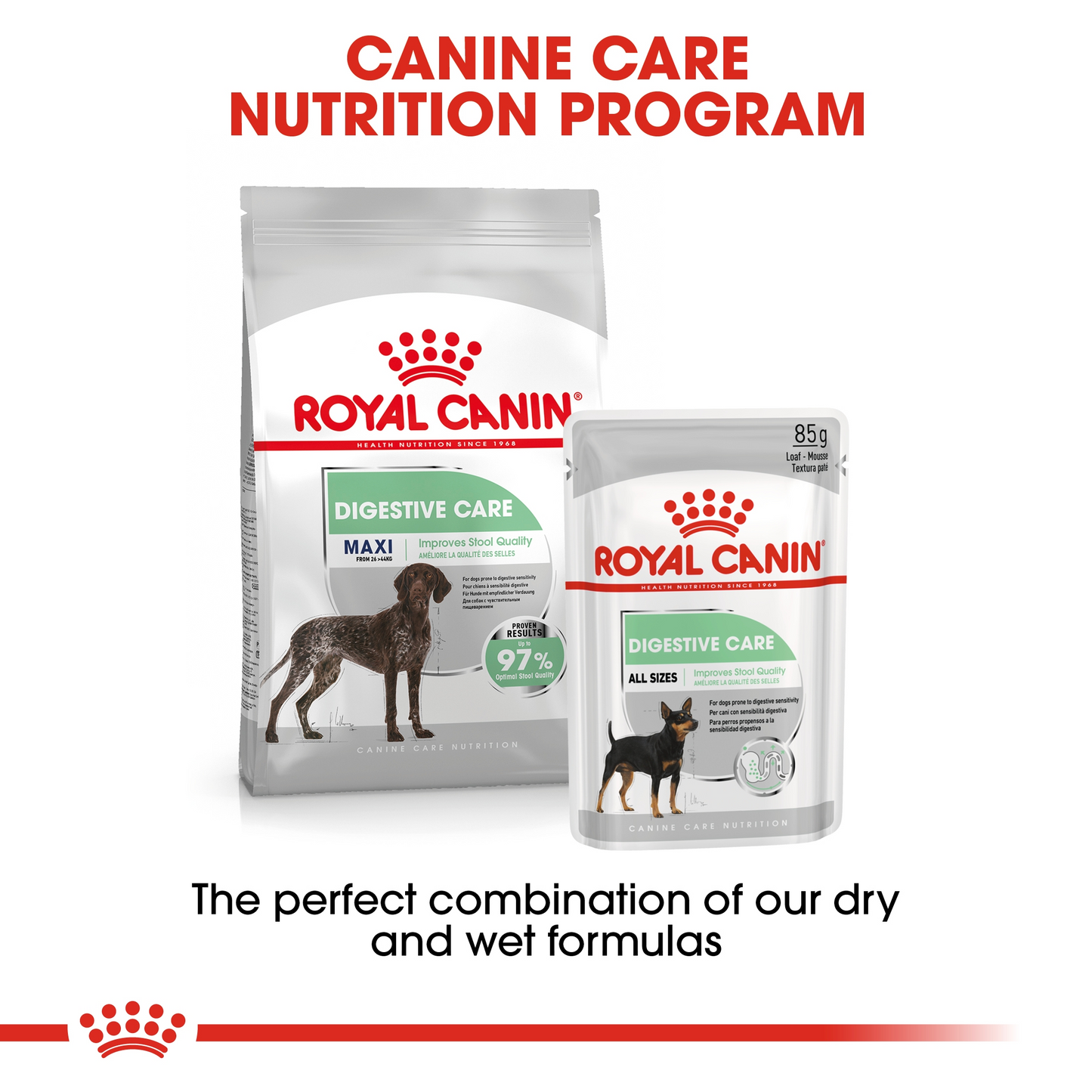 Royal Canin 12 kg Canine Care Nutrition Maxi Digestive Care