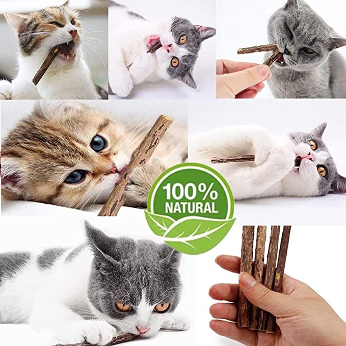 Organic Catnip Sticks - 20pcs All-Natural High-Performance Chew Toys for Cats