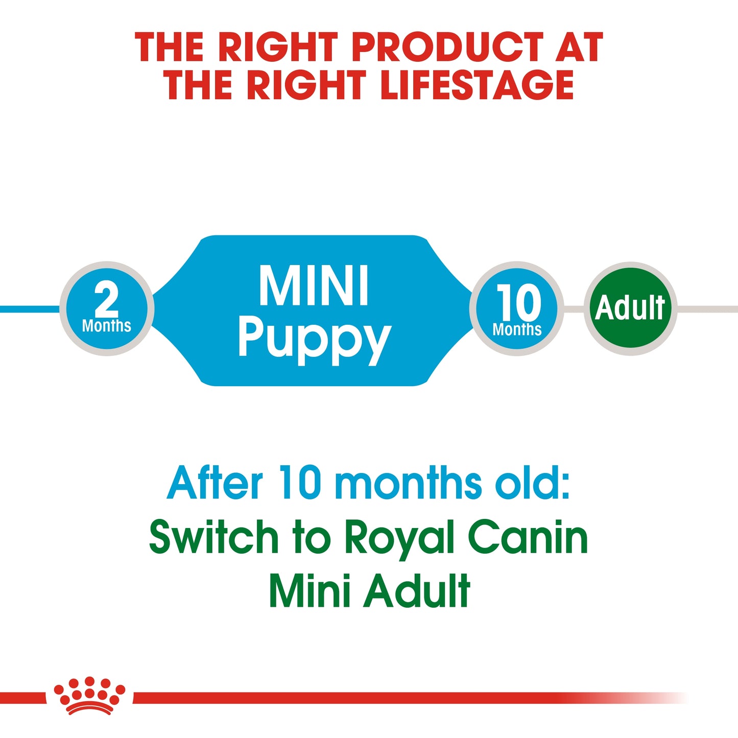 Buy Royal Canin Size Health Nutrition Mini Puppy 2 kg and GET FREE Royal Canin Size Health Nutrition Mini Puppy (Wet Food - Pouches) 12 x 85 gm