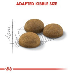 Royal Canin Feline Health Nutrition Indoor Long Hair 2 kg