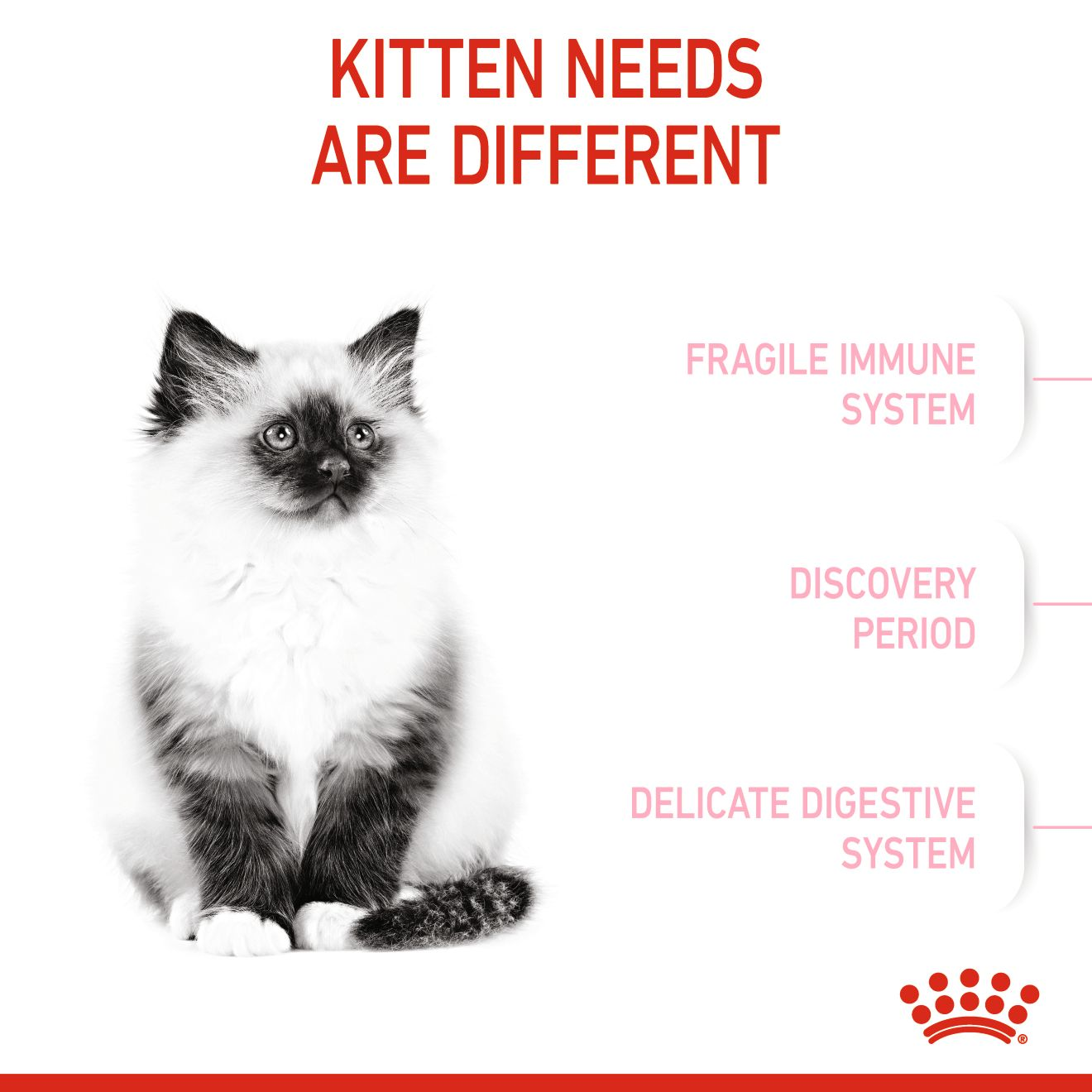 Royal Canin Feline Health Nutrition Kitten 400 g