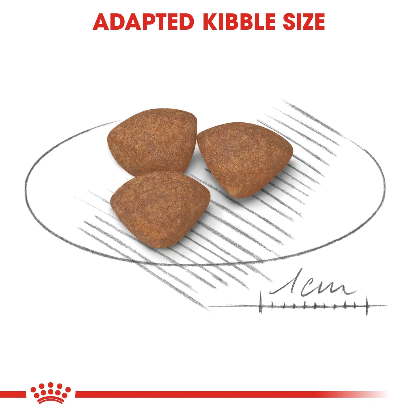 Buy Royal Canin Size Health Nutrition Mini Puppy 2 kg and GET FREE Royal Canin Size Health Nutrition Mini Puppy (Wet Food - Pouches) 12 x 85 gm
