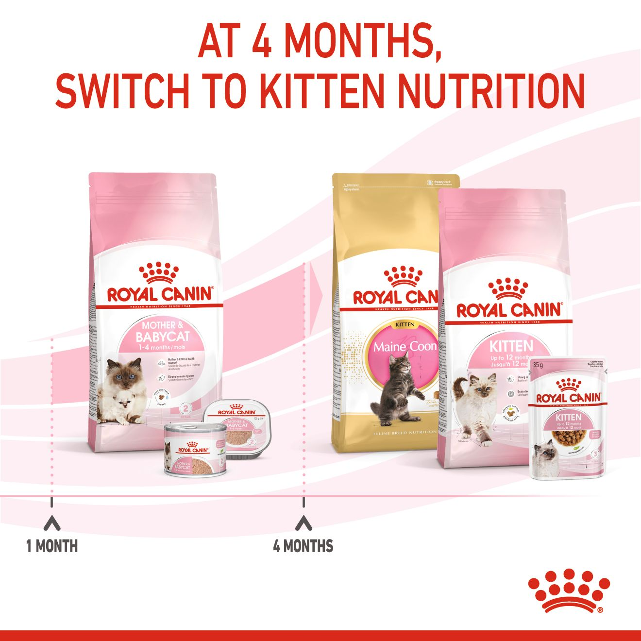 Royal Canin 2 kg Feline Health Nutrition Mother and Babycat