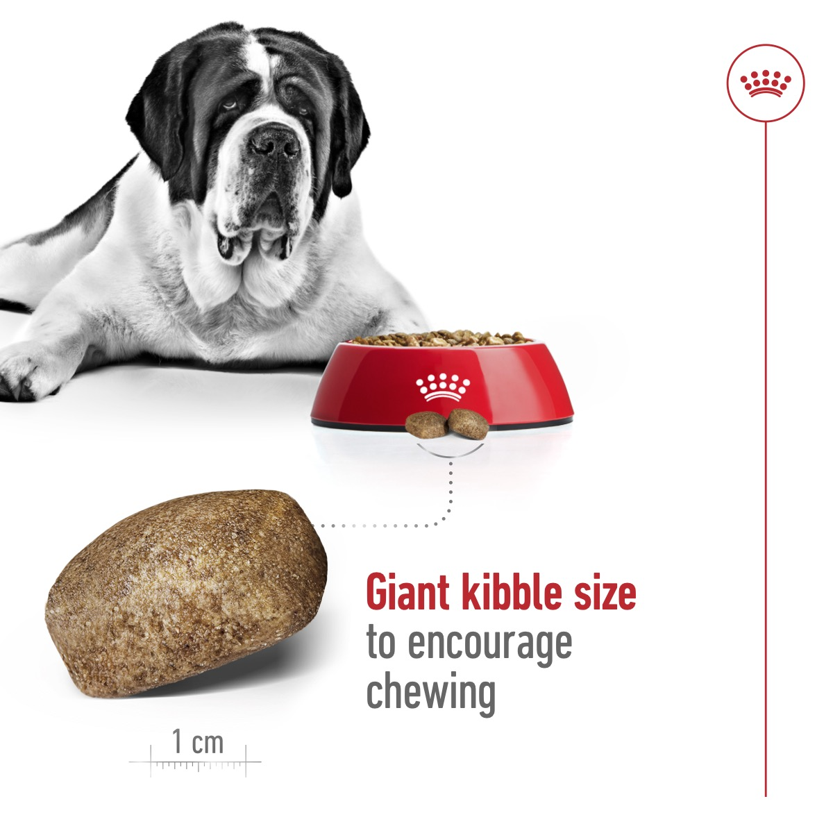 Royal Canin Size Health Nutrition Giant Adult 15 kg