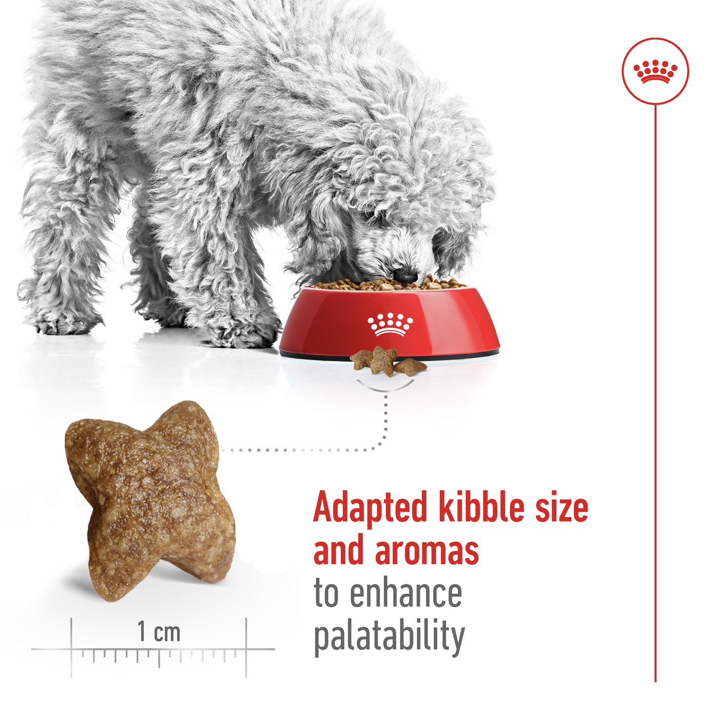 Royal Canin 2 kg Size Health Nutrition Mini Adult