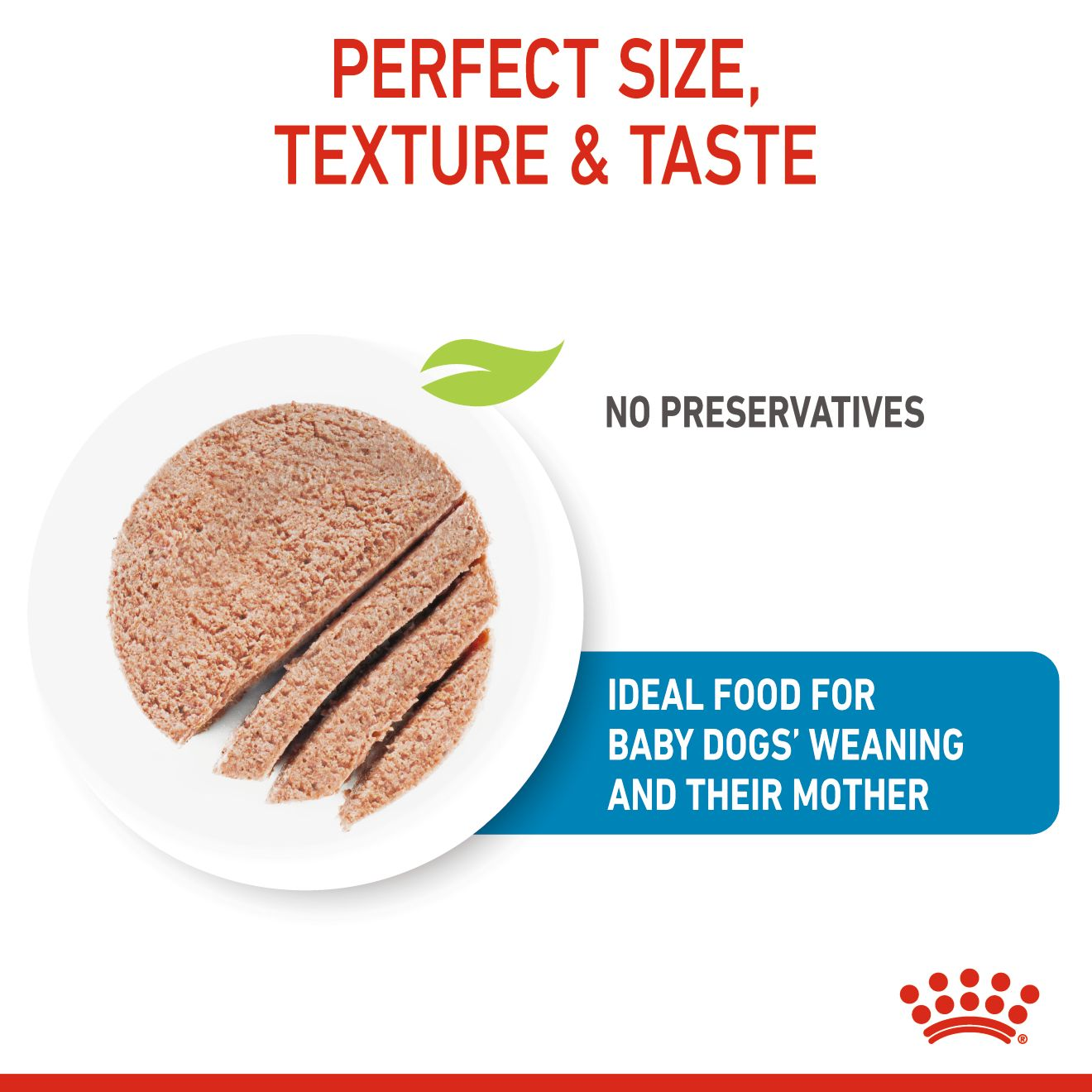 Royal Canin 12 x 195 gm Canine Health Nutrition Starter Mousse (Wet Food Cans)