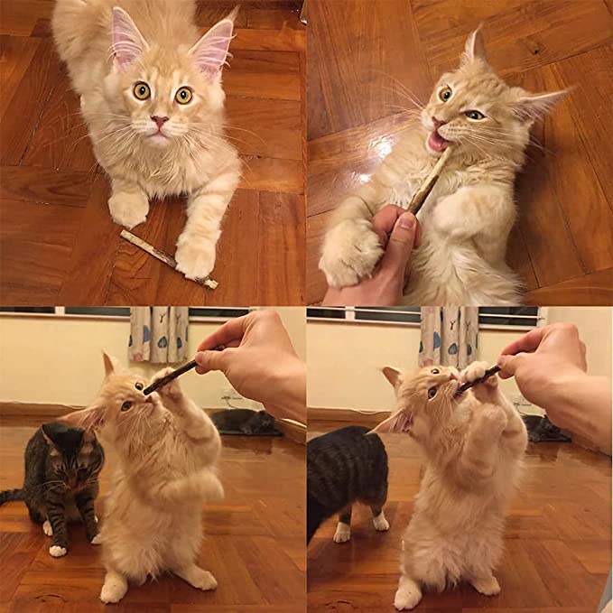 Organic Catnip Sticks - 20pcs All-Natural High-Performance Chew Toys for Cats