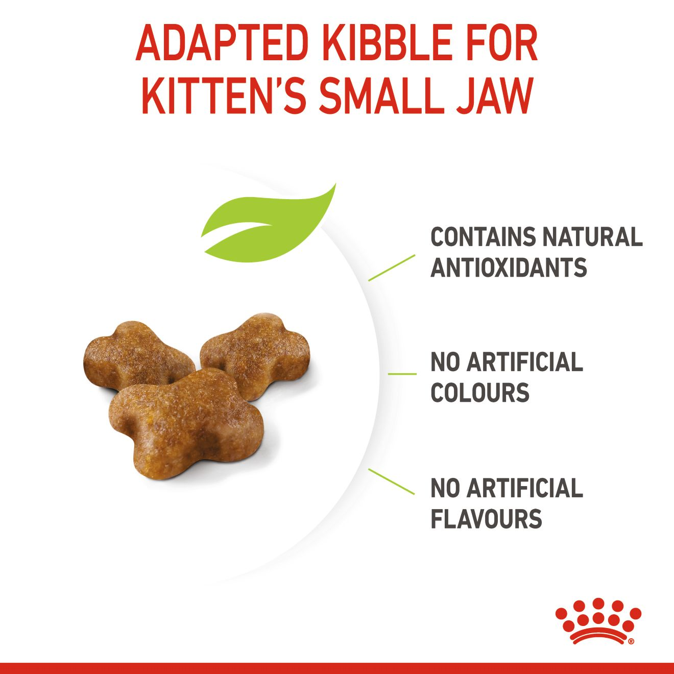 Buy Royal Canin Feline Health Nutrition Kitten 4 kg and Get FREE Royal Canin Feline Health Nutrition Kitten Gravy (Wet Food - Pouches) 12 x 85 g