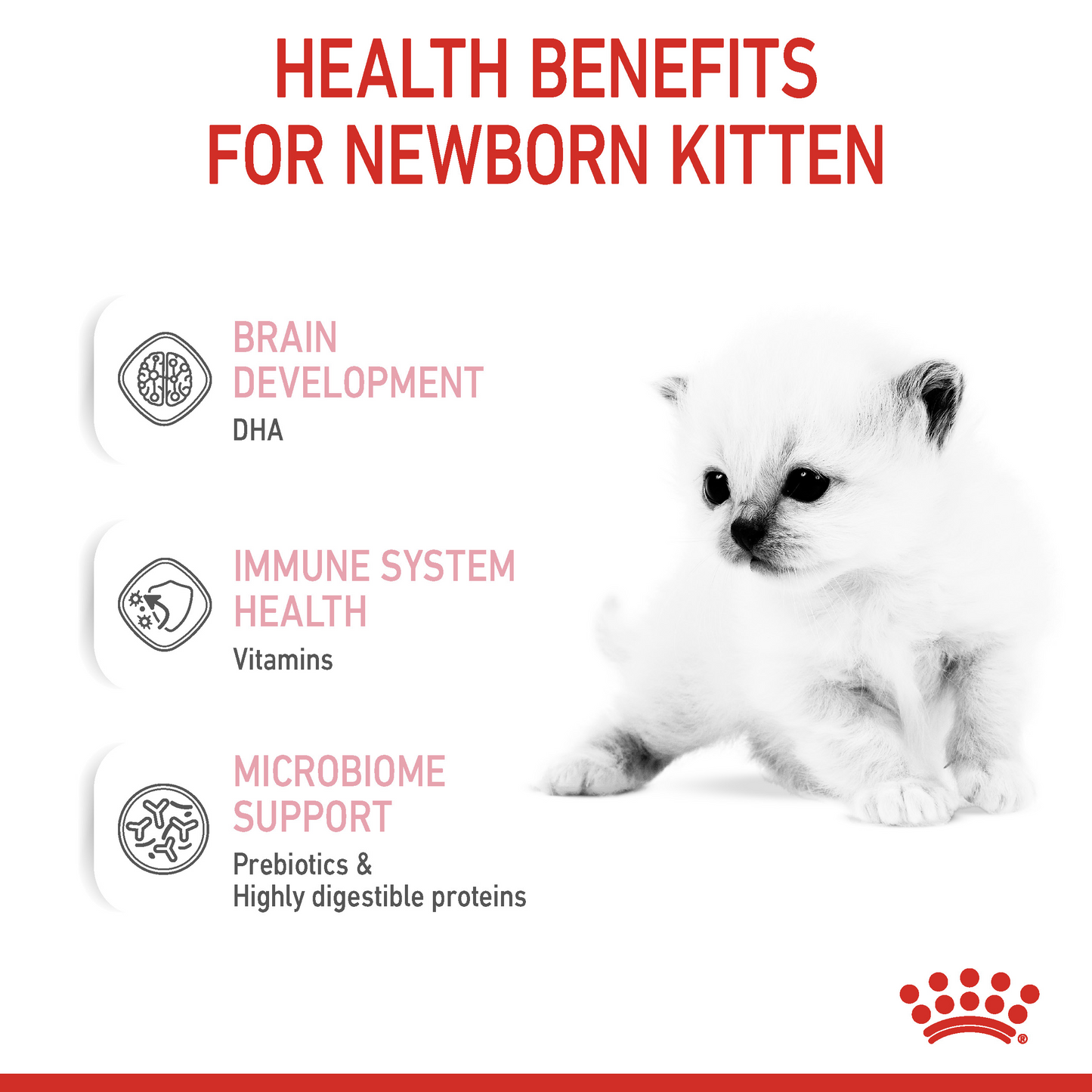 Royal Canin 300 gm Feline Health Nutrition Babycat Milk