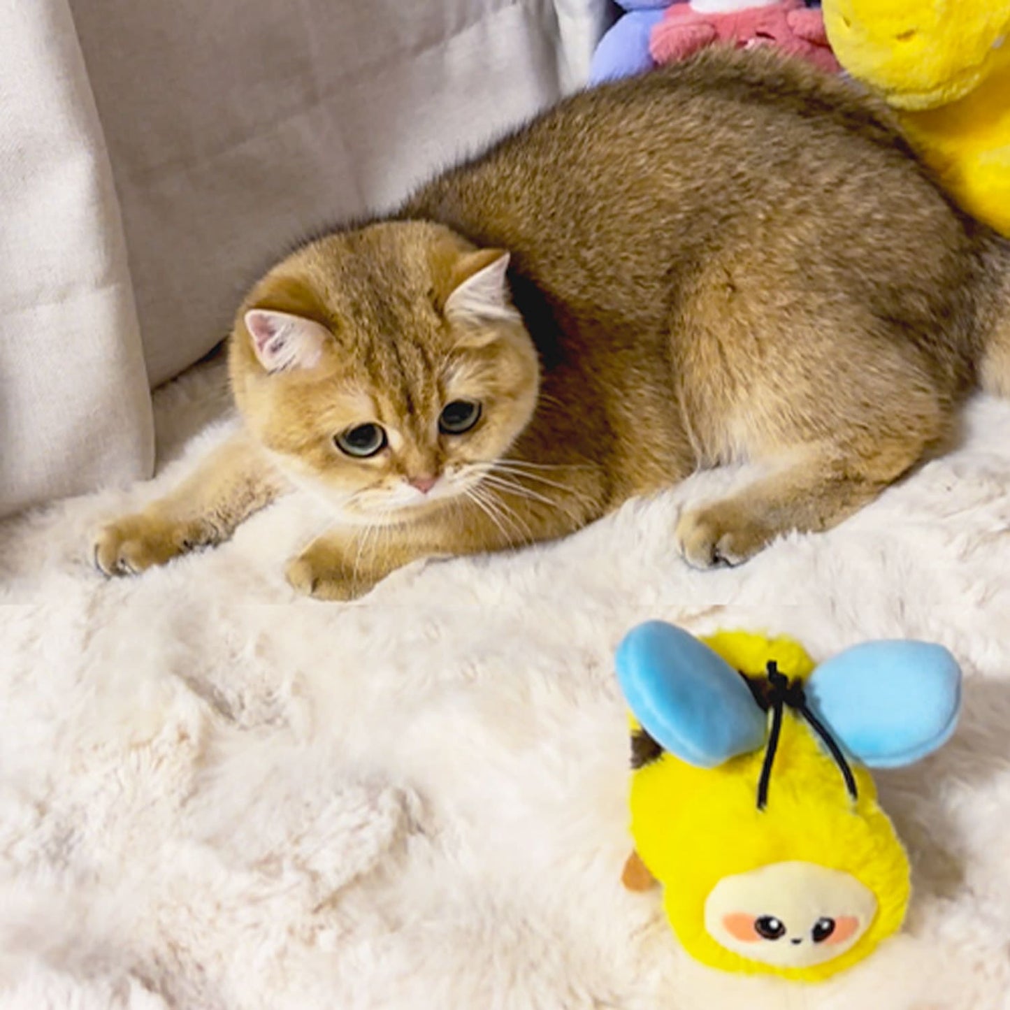 Dance & Chirp Flapping Bee