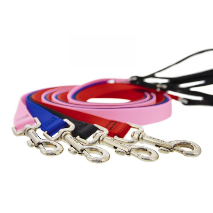 Basic Solids Padded Handle Dog Leash 4ft