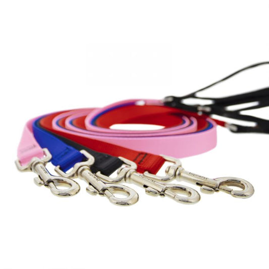 Basic Solids Padded Handle Dog Leash 4ft