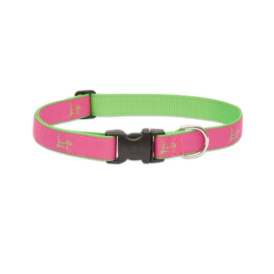 LupinePet 1/2" (Width)  8-12"(Neck) Adjustable Collar for Small Dogs - Bermuda Pink