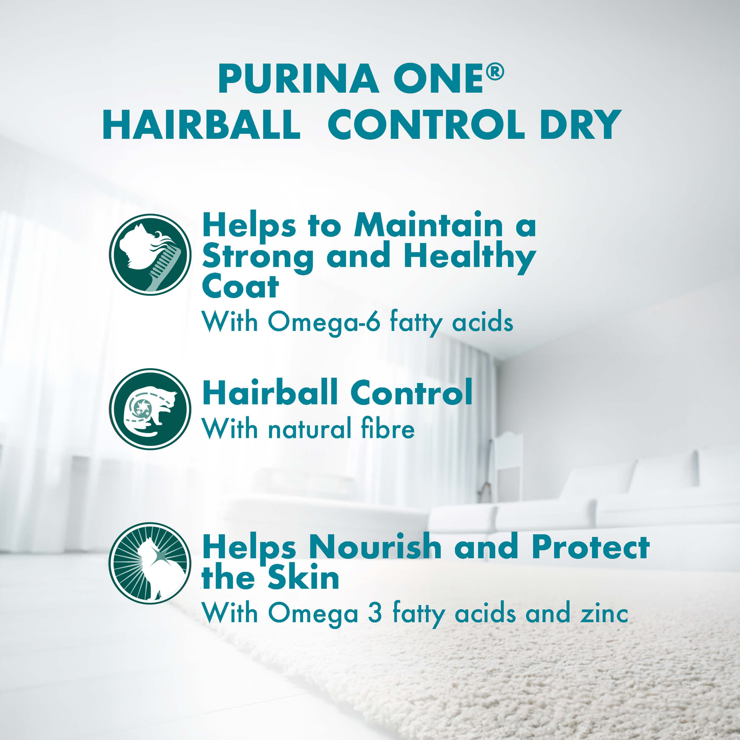 (380gm) Purina ONE Hairball Control Adult Dry Cat Food with Chicken