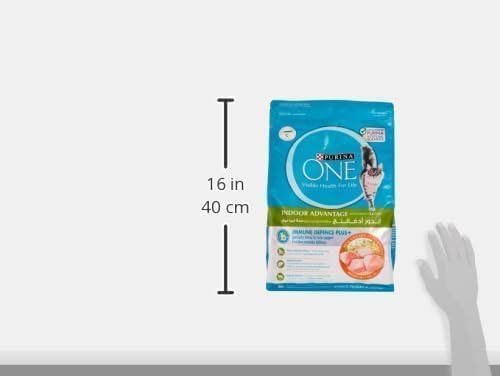 (380gm) Purina ONE Indoor Advantage Adult Dry Cat Food with Chicken for Cats 1+ Years
