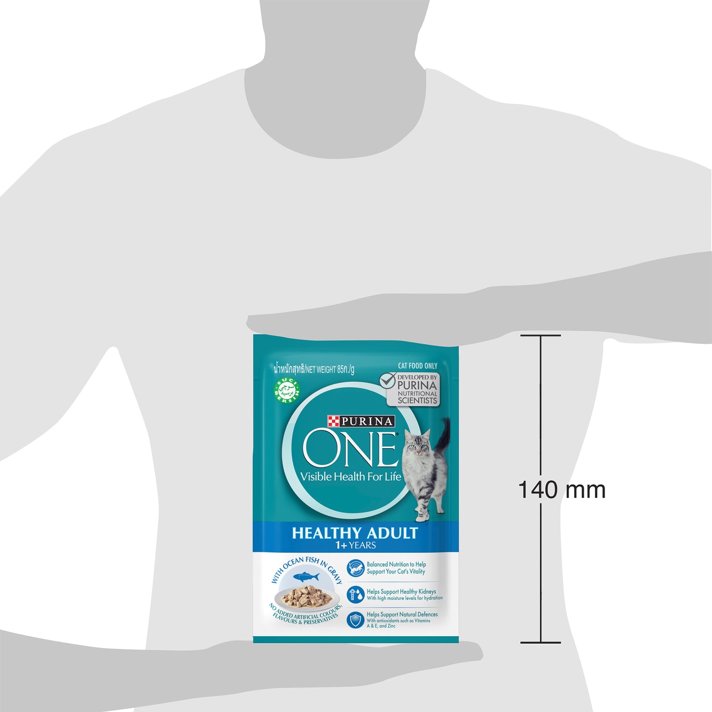 (70g) (1Pouch) Purina ONE Healthy Adult Wet Cat Food with Ocean Fish