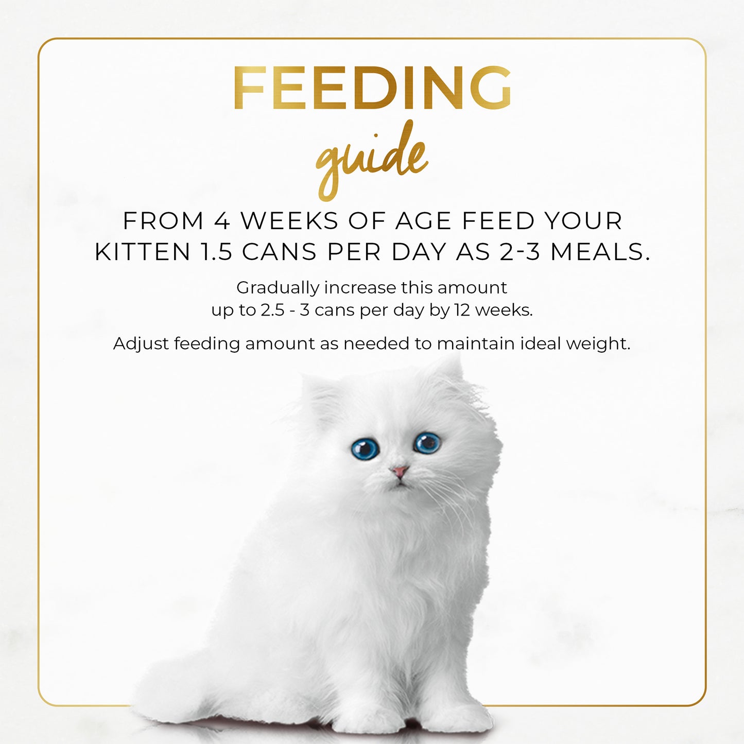 (85g) Pack of 24 Purina Fancy Feast Classic Kitten Chicken Wet Cat Food