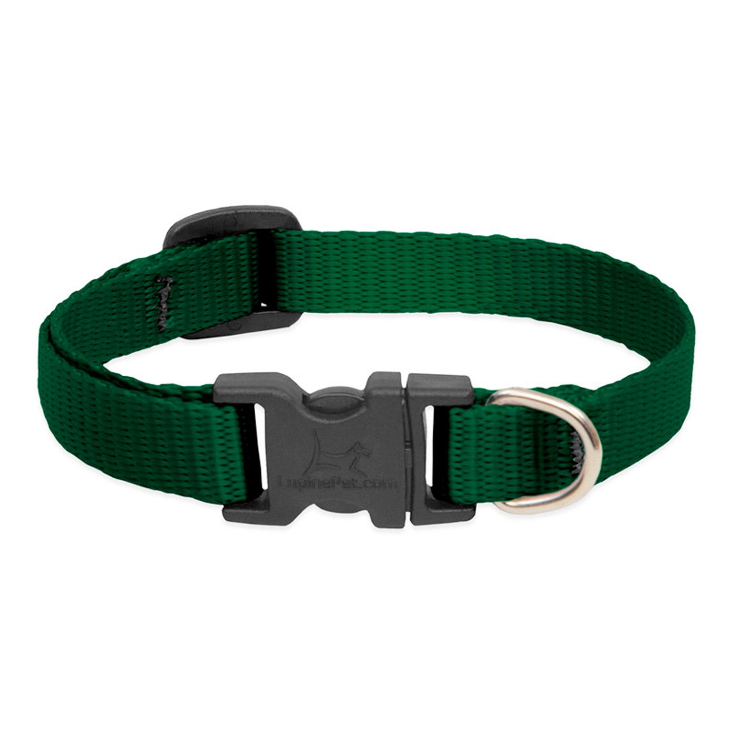 BASICS Adjustable Collar GREEN 1" FOR LARGE DOGS