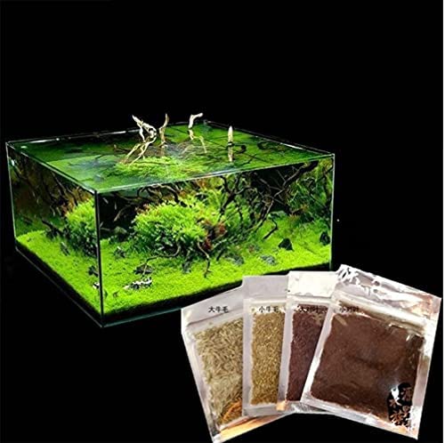 Aquatics Water Grass Plant Seeds Fish Tank Aquarium Landscape Decoration, Easy to Plant, water Plant Seeds Home Decor 4 x 6000 seeds