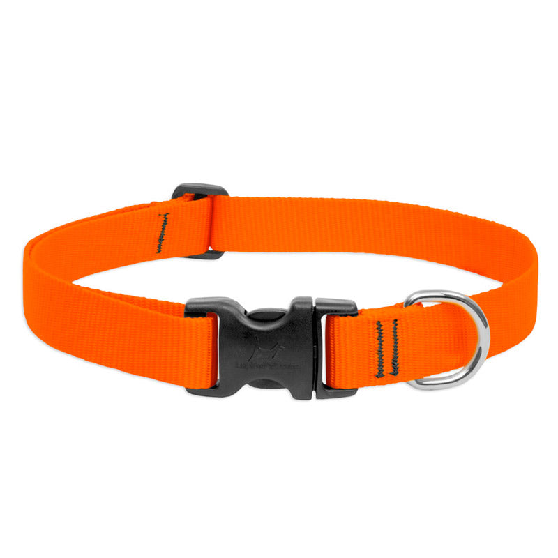 BASICS Adjustable Collar ORANGE 3/4" FOR MEDIUM DOGS - 15"-25"