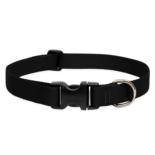 BASICS Adjustable Collar BLACK 1/2" FOR SMALL DOGS