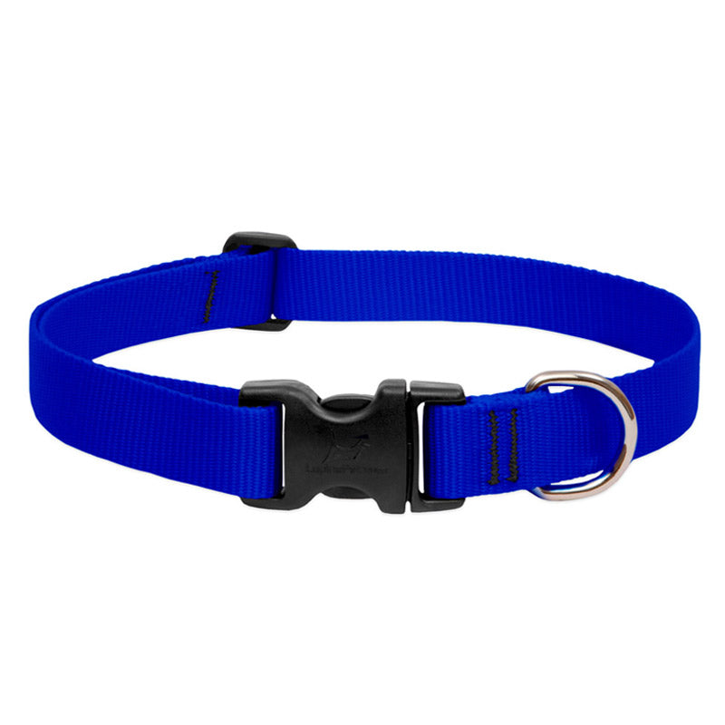 BASICS Adjustable Collar BLUE 3/4" FOR MEDIUM DOGS