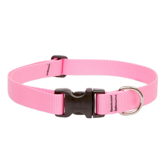 BASICS Adjustable Collar PINK 1/2" FOR SMALL DOGS - 8"-12"